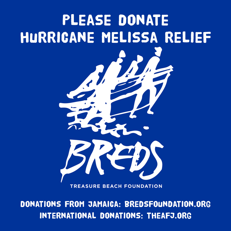 Breds-Hurricane-Melissa-Share